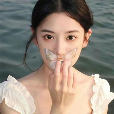 海狸