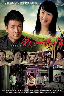 洞庭情缘 封面图