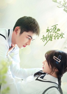 泰山传奇 封面图