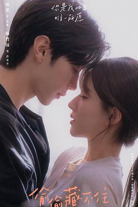 沙漠风暴 下 封面图